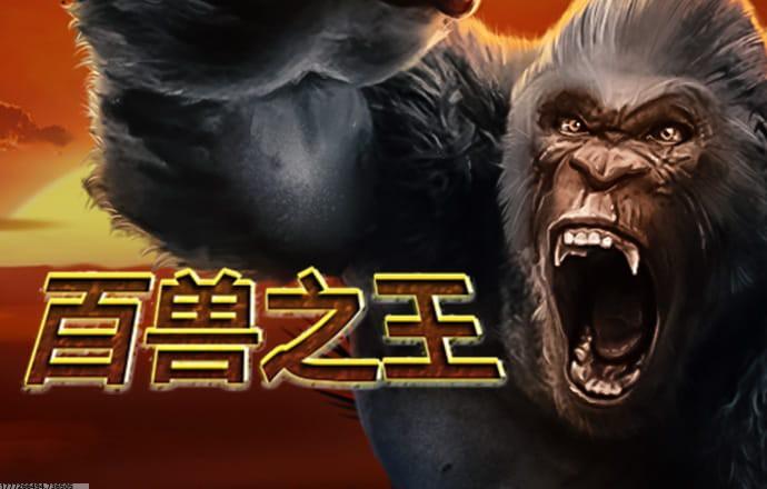 精准用户行为分析